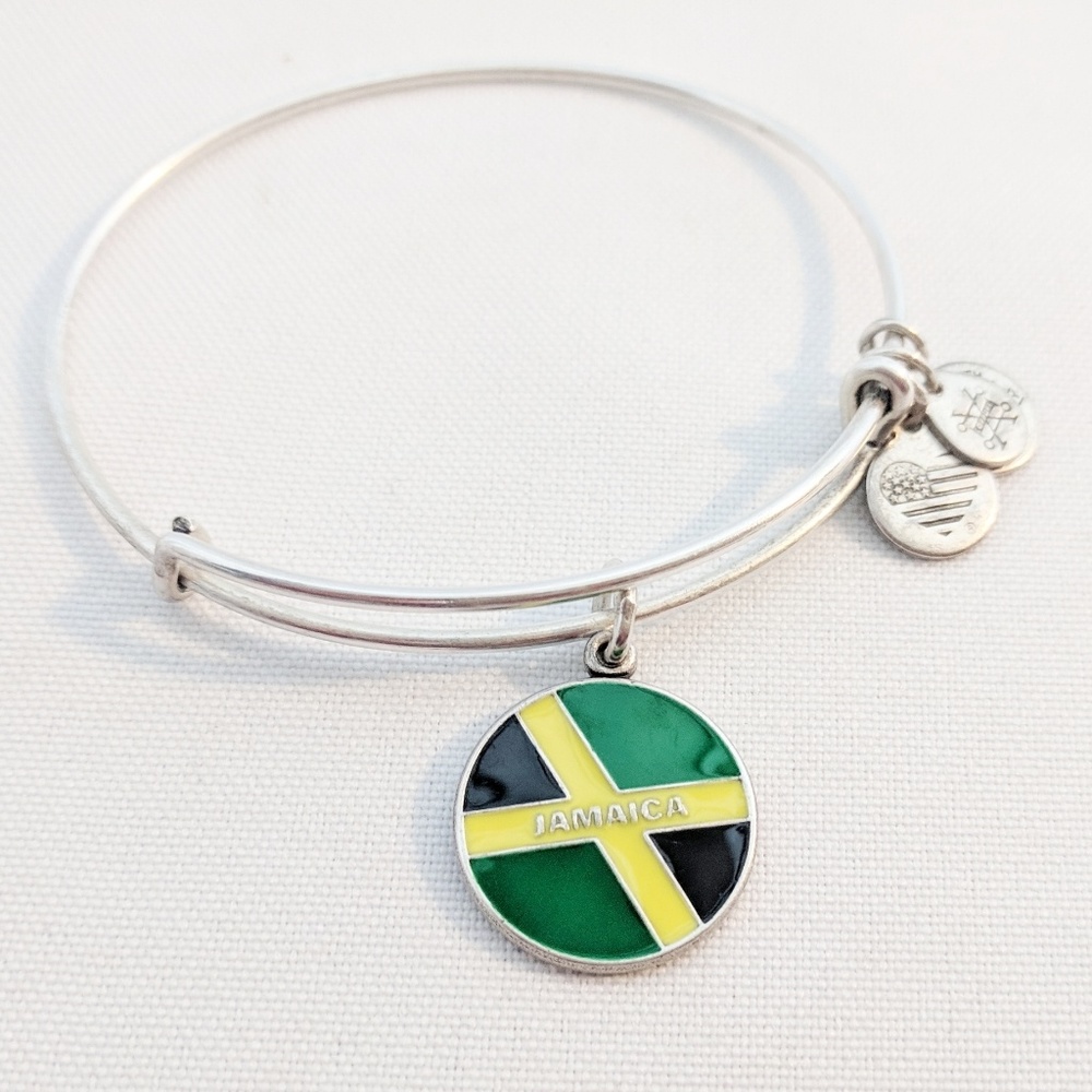 Alex and Ani Silver Jamaica Charm Bracelet - Picture 6 of 7